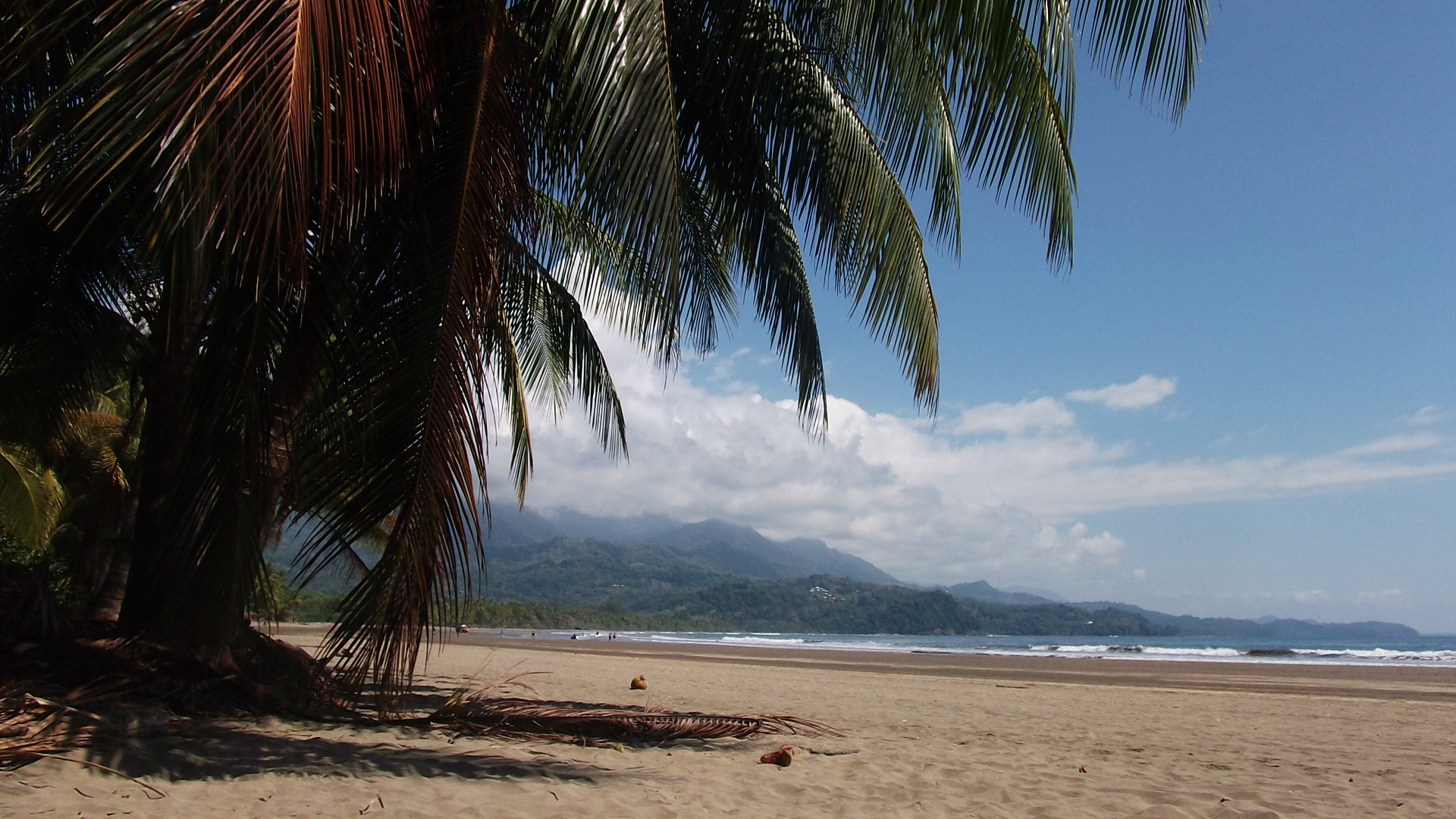 Costa Rica: Sustainable Tourism in a Green Paradise