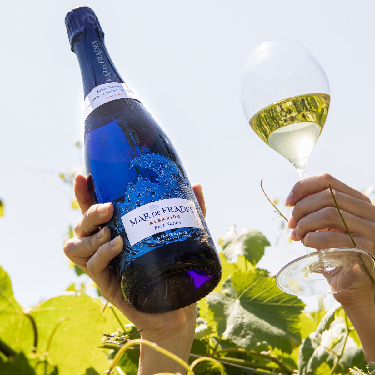 Mar de Frades Albariño 2024: a sip of the Atlantic