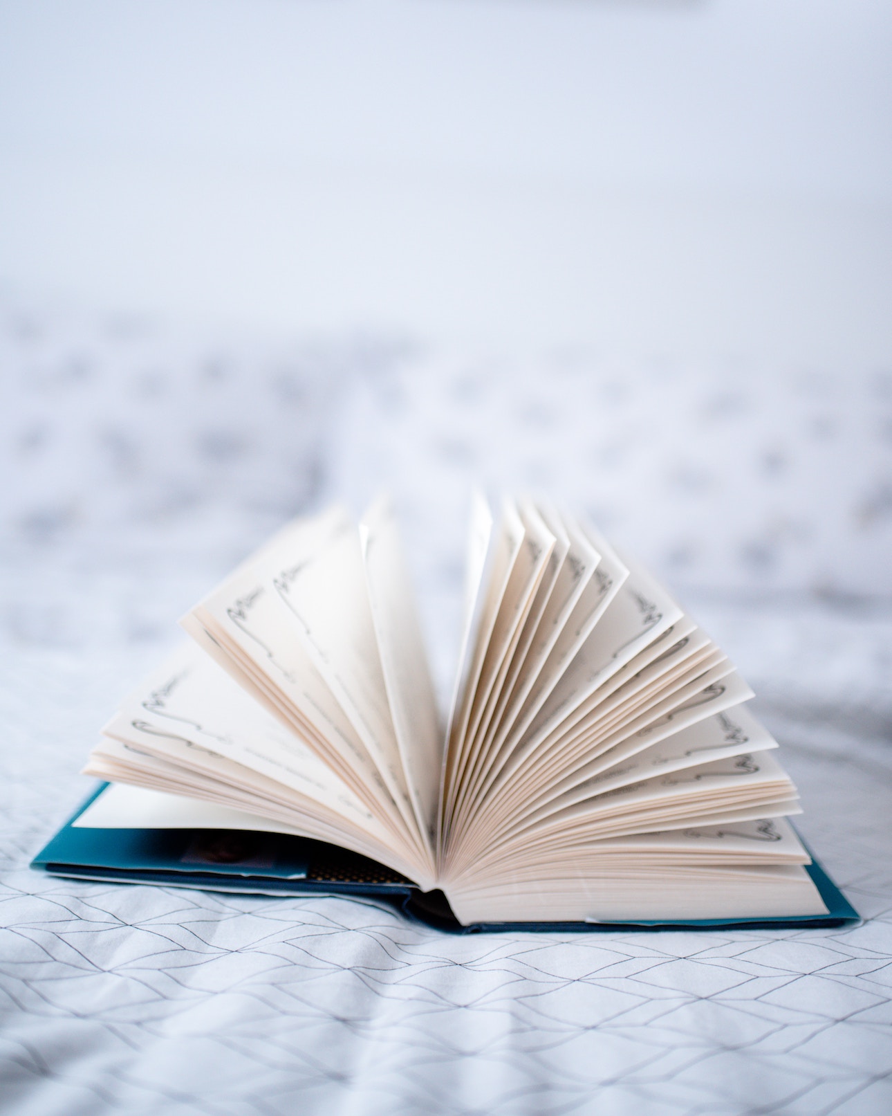 Sustainable bookshops