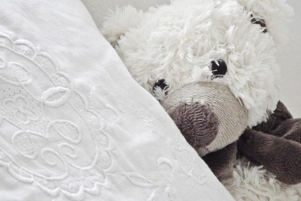 Sustainable cuddly toys