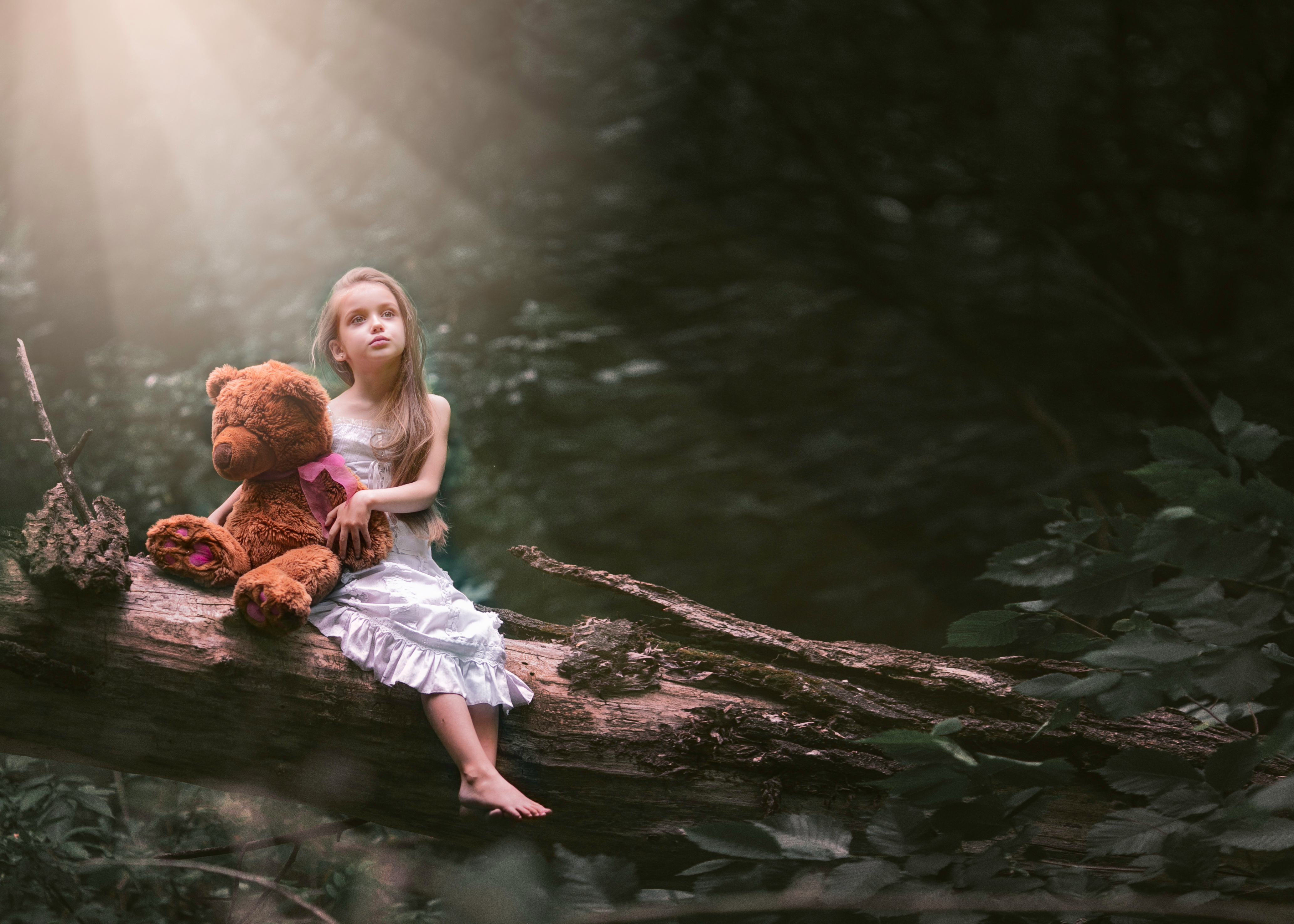 Sustainable toy shops online