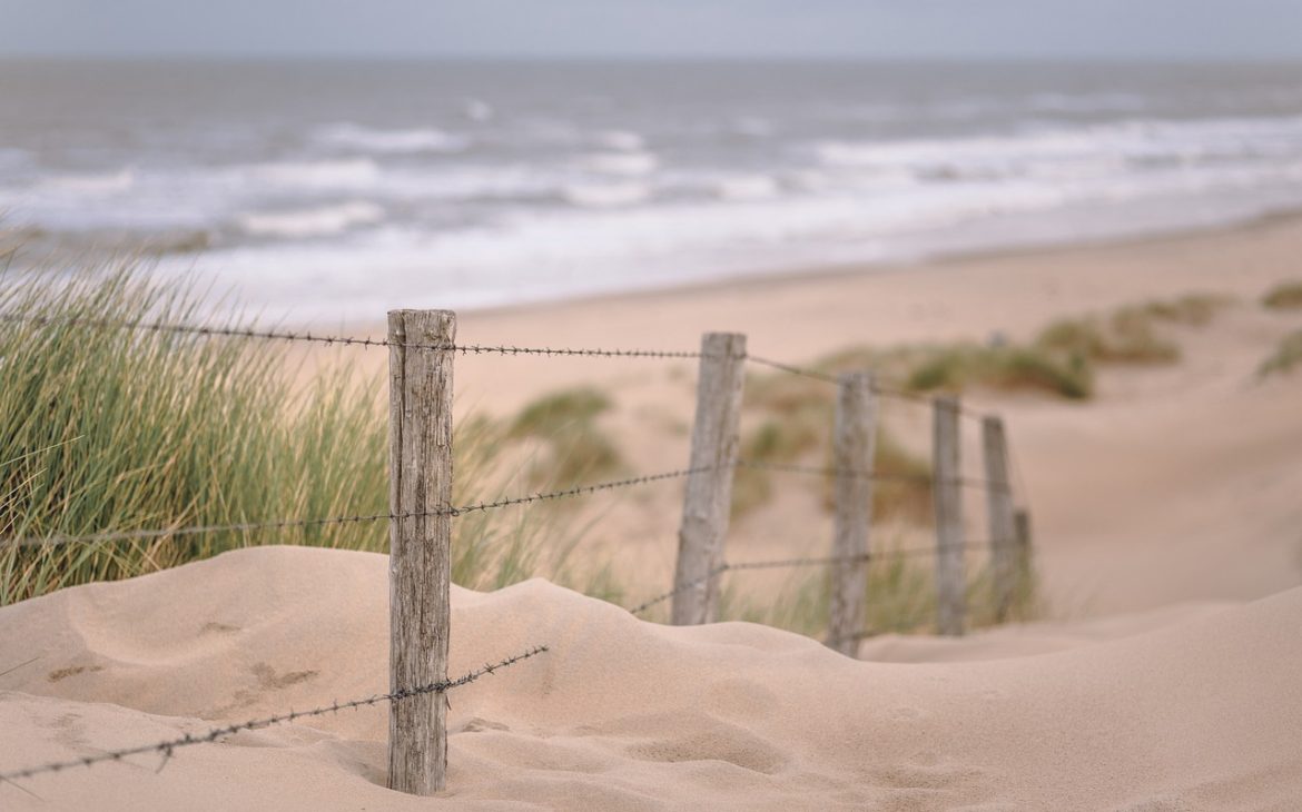 © RoonzNL / pixabay