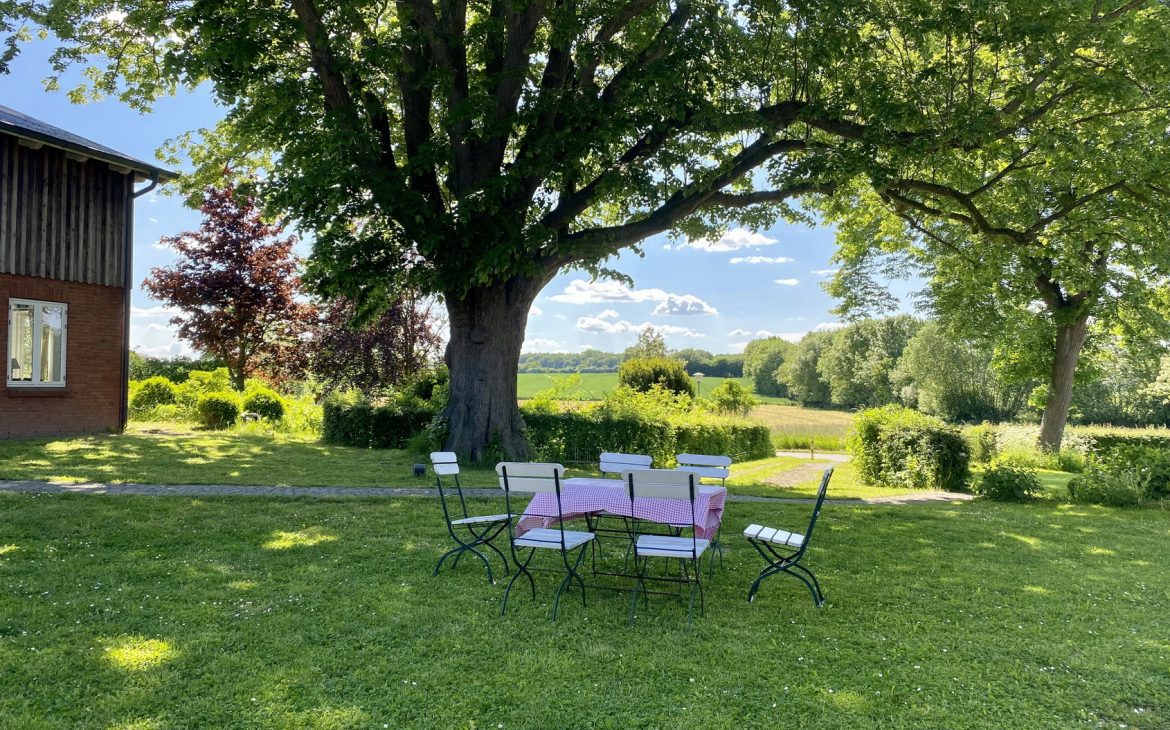 Tables in the farmyard under the linden tree