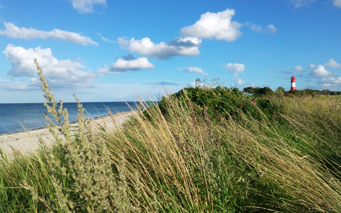 The beach at Falshöft near Janbeck's FAIRhaus